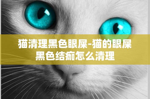 貓清理黑色眼屎-貓的眼屎黑色結痂怎么清理