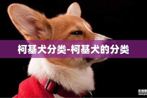 柯基犬分類-柯基犬的分類