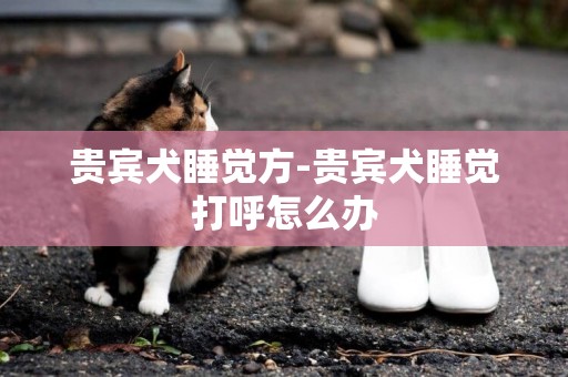 貴賓犬睡覺方-貴賓犬睡覺打呼怎么辦