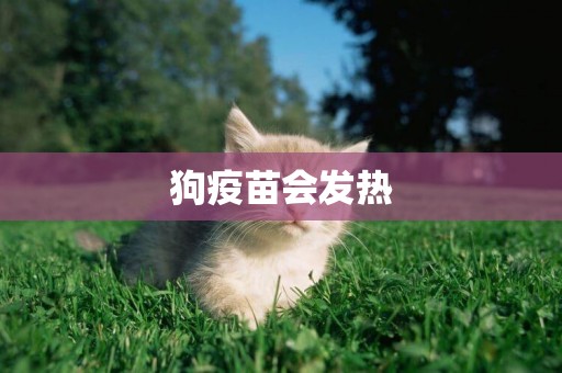 狗疫苗會發熱