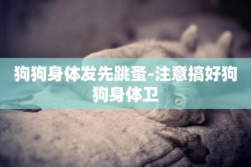 狗狗身體發先跳蚤-注意搞好狗狗身體衛