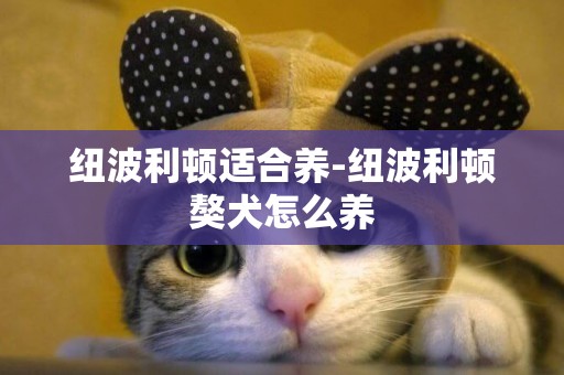 紐波利頓適合養-紐波利頓獒犬怎么養