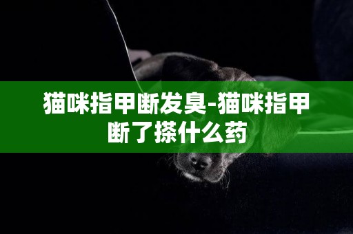 貓咪指甲斷發臭-貓咪指甲斷了搽什么藥