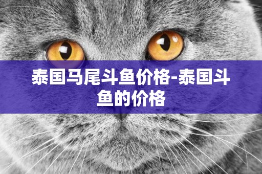 泰國馬尾斗魚價格-泰國斗魚的價格