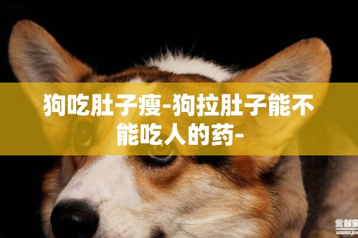 狗吃肚子瘦-狗拉肚子能不能吃人的藥-