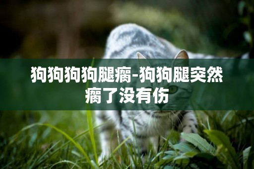 狗狗狗狗腿瘸-狗狗腿突然瘸了沒有傷