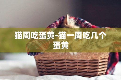 貓周吃蛋黃-貓一周吃幾個蛋黃