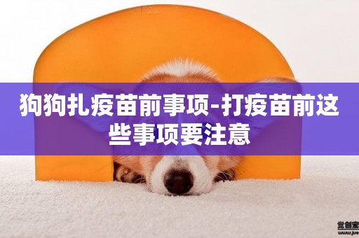 狗狗扎疫苗前事項-打疫苗前這些事項要注意