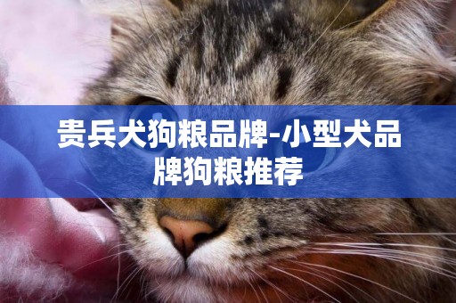 貴兵犬狗糧品牌-小型犬品牌狗糧推薦