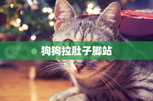 狗狗拉肚子腳站