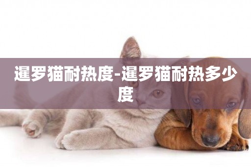 暹羅貓耐熱度-暹羅貓耐熱多少度