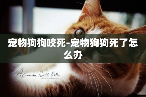 寵物狗狗咬死-寵物狗狗死了怎么辦