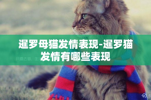 暹羅母貓發情表現-暹羅貓發情有哪些表現