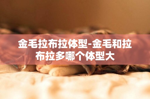 金毛拉布拉體型-金毛和拉布拉多哪個體型大