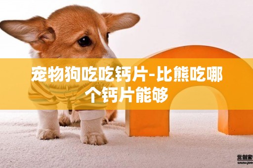 寵物狗吃吃鈣片-比熊吃哪個鈣片能夠