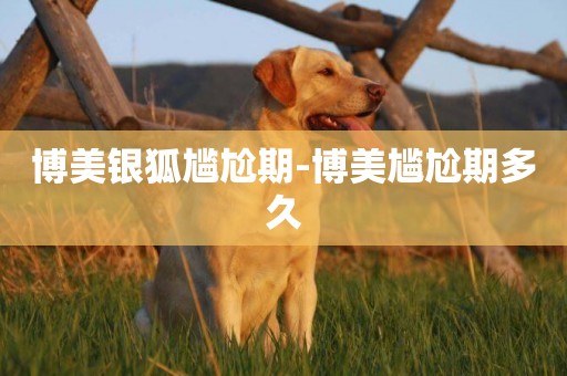 博美銀狐尷尬期-博美尷尬期多久