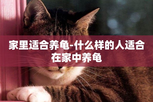 家里適合養龜-什么樣的人適合在家中養龜