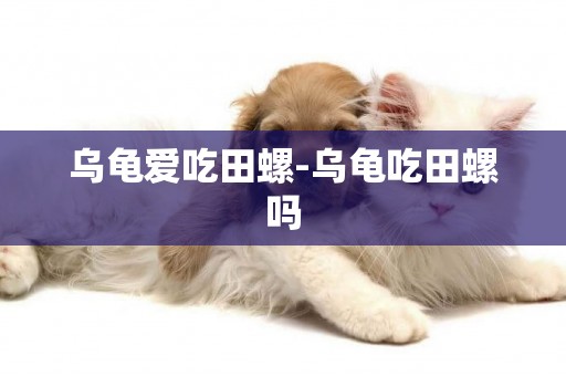 烏龜愛吃田螺-烏龜吃田螺嗎