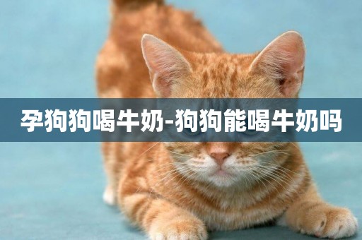 孕狗狗喝牛奶-狗狗能喝牛奶嗎
