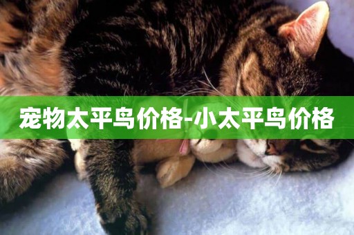 寵物太平鳥價格-小太平鳥價格