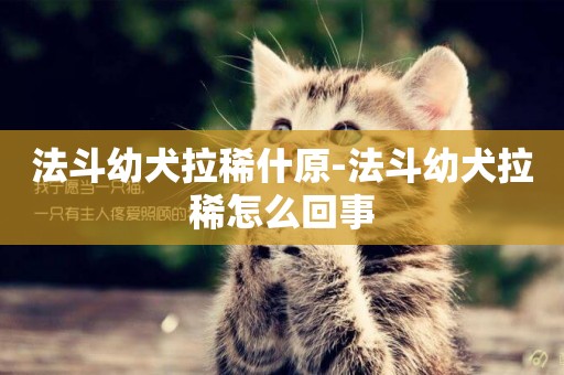法斗幼犬拉稀什原-法斗幼犬拉稀怎么回事