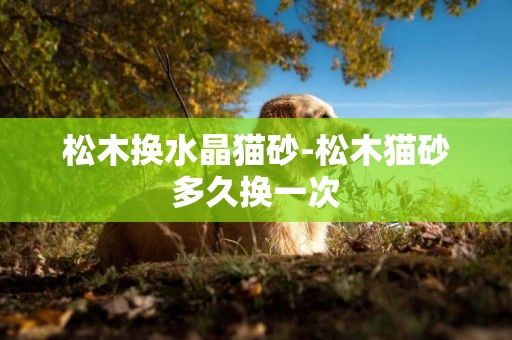 松木換水晶貓砂-松木貓砂多久換一次