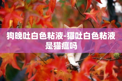 狗晚吐白色粘液-貓吐白色粘液是貓瘟嗎