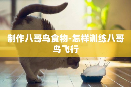 制作八哥鳥食物-怎樣訓練八哥鳥飛行
