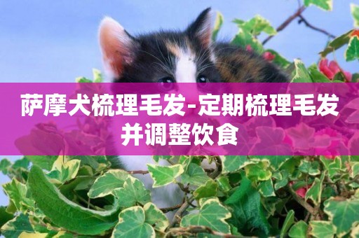 薩摩犬梳理毛發-定期梳理毛發并調整飲食