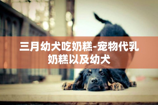 三月幼犬吃奶糕-寵物代乳奶糕以及幼犬