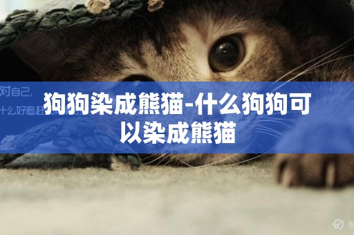 狗狗染成熊貓-什么狗狗可以染成熊貓