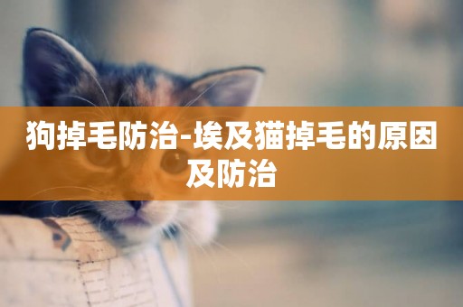 狗掉毛防治-埃及貓掉毛的原因及防治