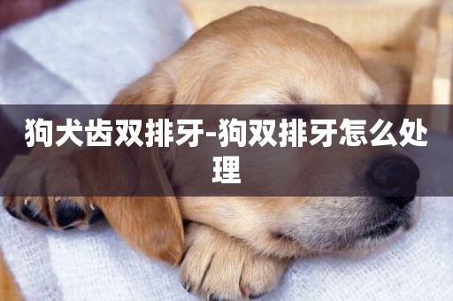 狗犬齒雙排牙-狗雙排牙怎么處理
