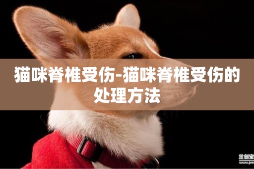 貓咪脊椎受傷-貓咪脊椎受傷的處理方法