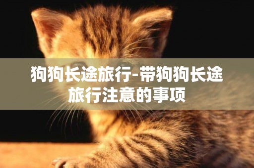 狗狗長途旅行-帶狗狗長途旅行注意的事項