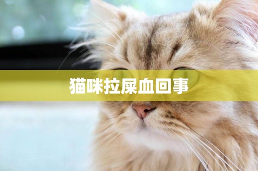 貓咪拉屎血回事