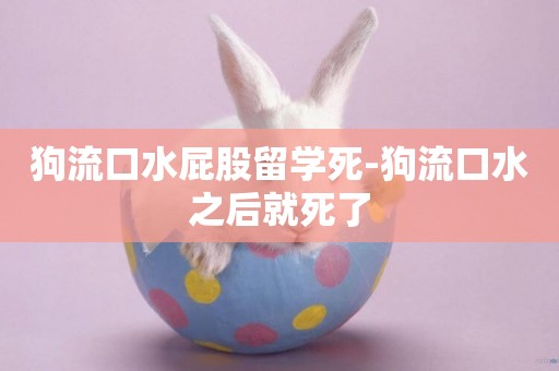 狗流口水屁股留學死-狗流口水之后就死了