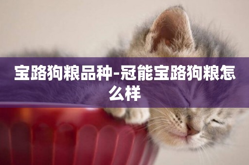 寶路狗糧品種-冠能寶路狗糧怎么樣