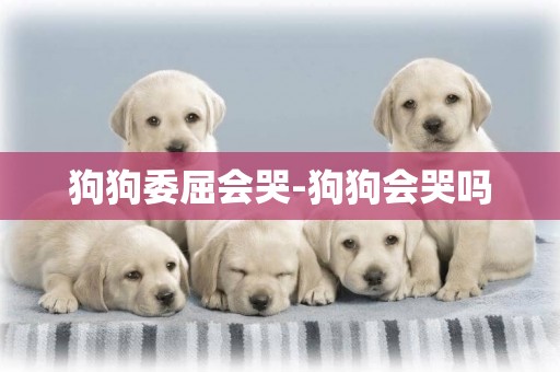 狗狗委屈會哭-狗狗會哭嗎