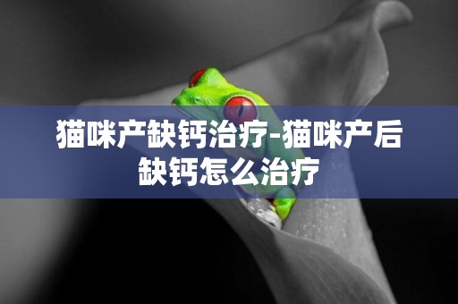 貓咪產缺鈣治療-貓咪產后缺鈣怎么治療