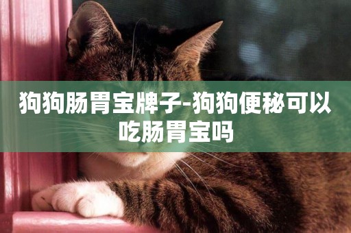 狗狗腸胃寶牌子-狗狗便秘可以吃腸胃寶嗎