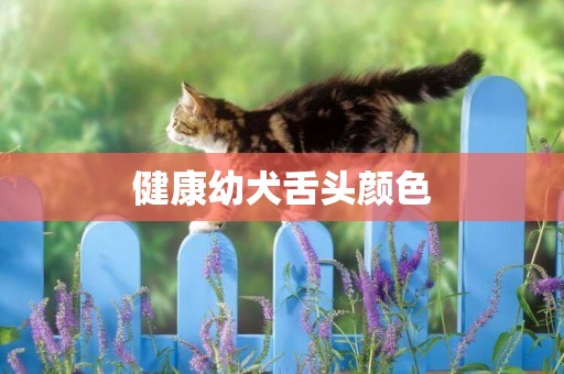健康幼犬舌頭顏色
