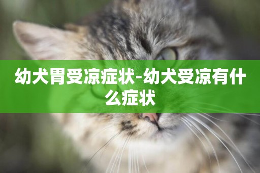 幼犬胃受涼癥狀-幼犬受涼有什么癥狀