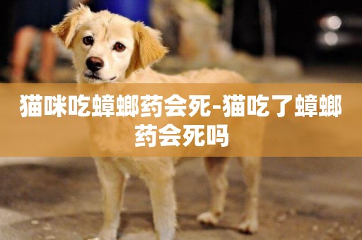 貓咪吃蟑螂藥會死-貓吃了蟑螂藥會死嗎