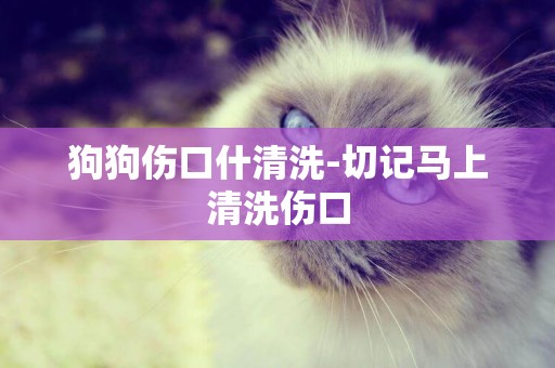 狗狗傷口什清洗-切記馬上清洗傷口