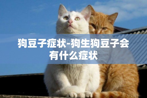 狗豆子癥狀-狗生狗豆子會有什么癥狀