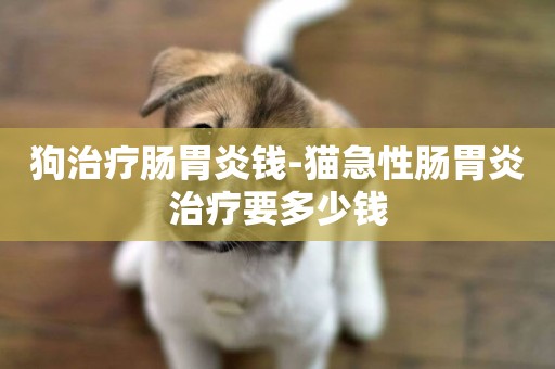 狗治療腸胃炎錢-貓急性腸胃炎治療要多少錢
