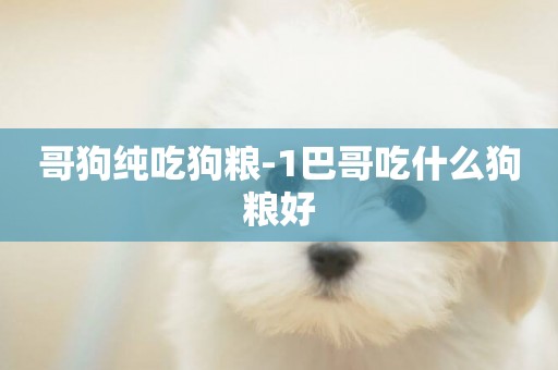 哥狗純吃狗糧-1巴哥吃什么狗糧好
