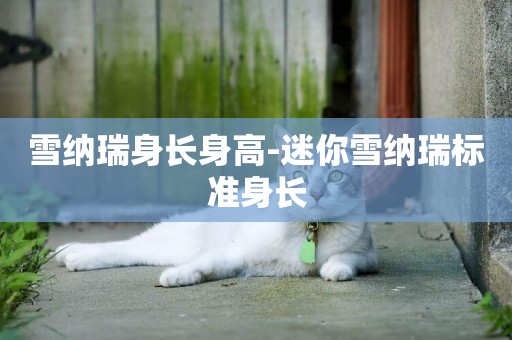 雪納瑞身長身高-迷你雪納瑞標準身長