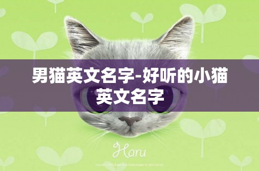 男貓英文名字-好聽的小貓英文名字